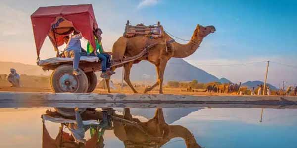 Golden Triangle Tour with Pushkar
